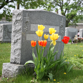 Carter Funeral Home - Denbigh Chapel : Funerals in Newport News